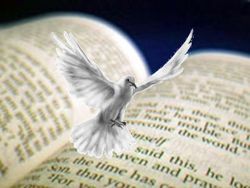 bible_spirit_dove.jpg